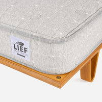 Case Study® Bentwood Bed with Cane Headboard & Lief® Mattress Bundle
