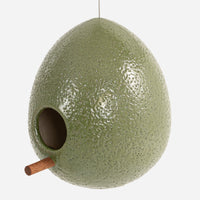 Birdhouse Avocado