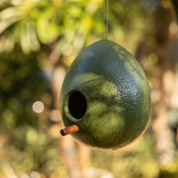 Birdhouse Avocado