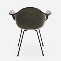 Midnight Green X Base