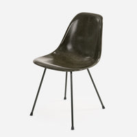 Midnight Green X Base Purple