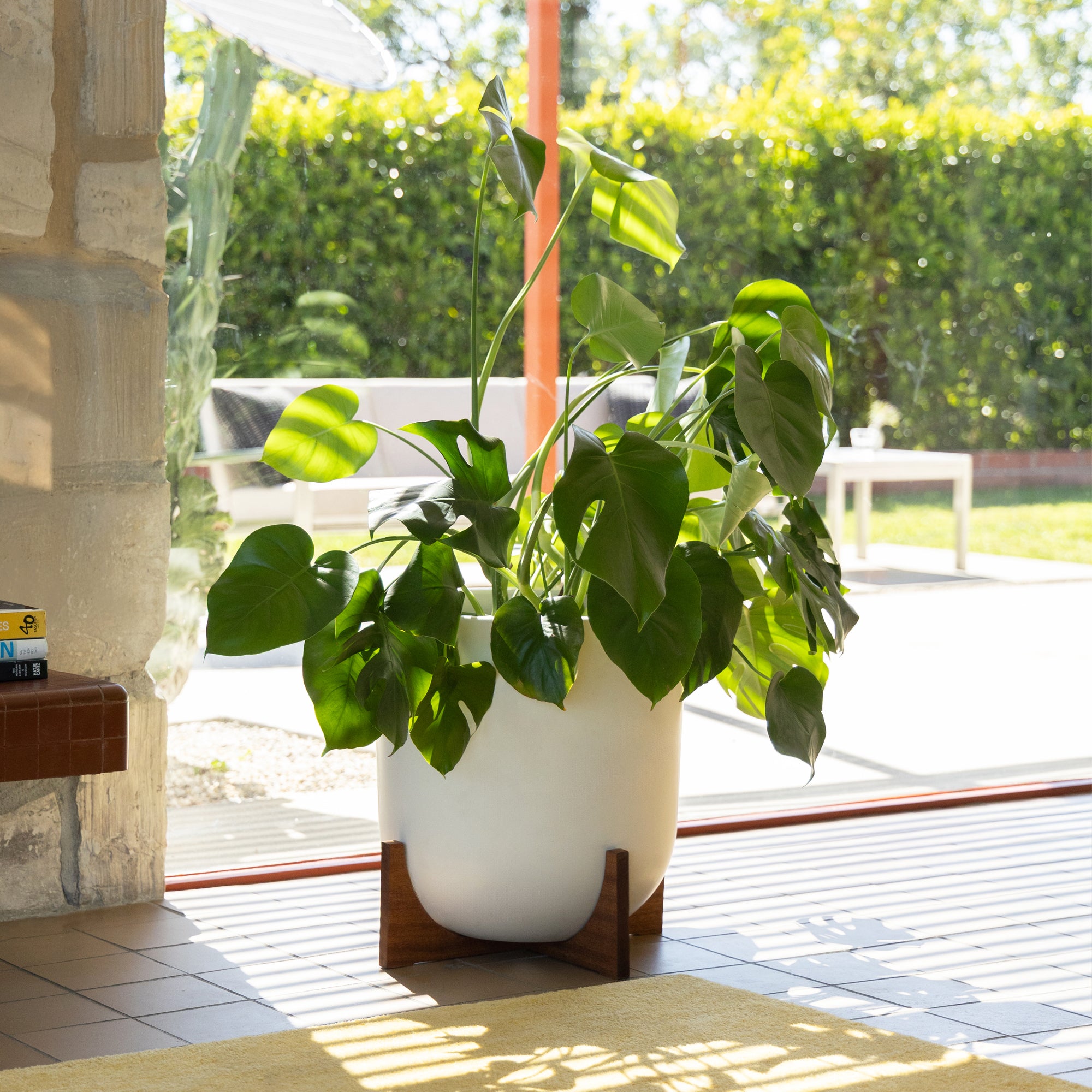 Case Study® Bullet Planter