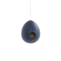 Case Study® Birdhouse