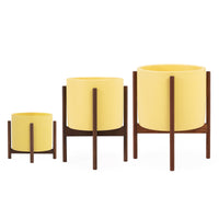 Case Study® Cylinder Planter Trio