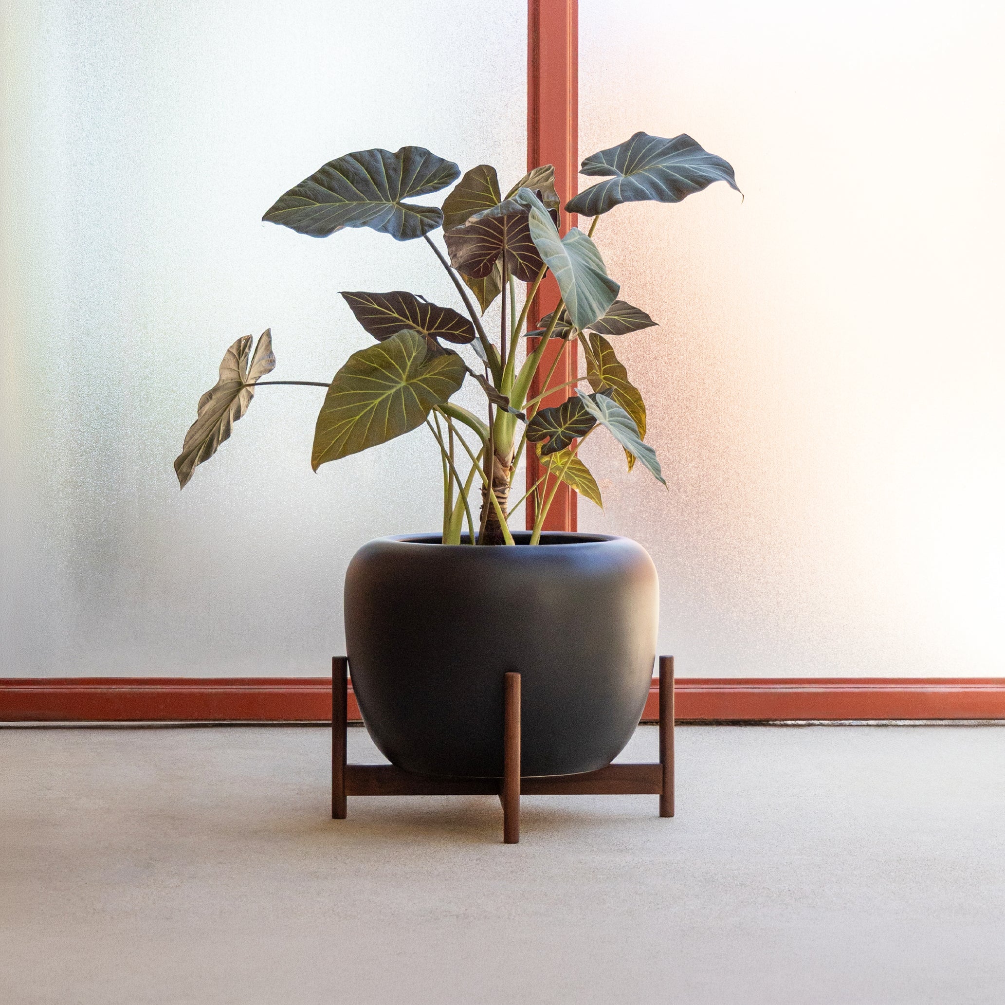 Case Study® Ceramics XL ドラム (木製スタンド付き)
