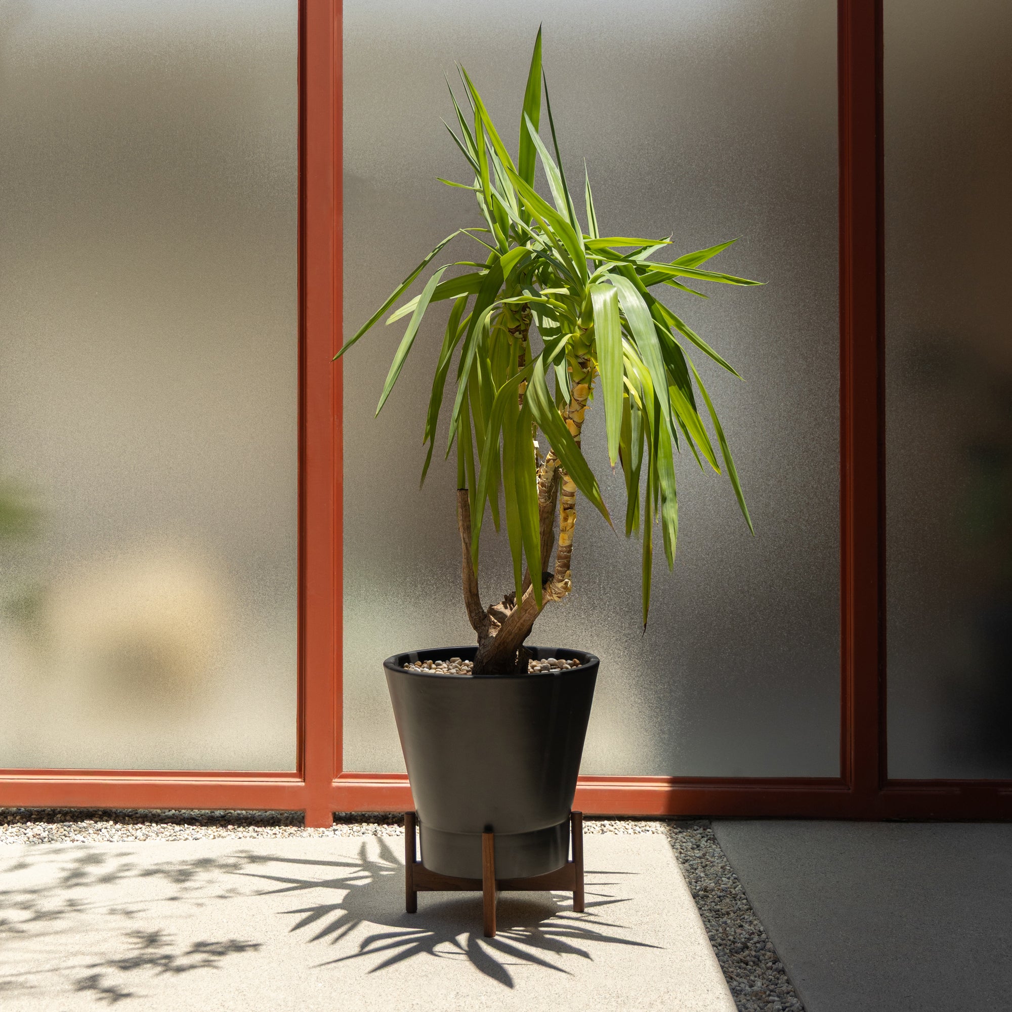 Case Study® Jewel Planter