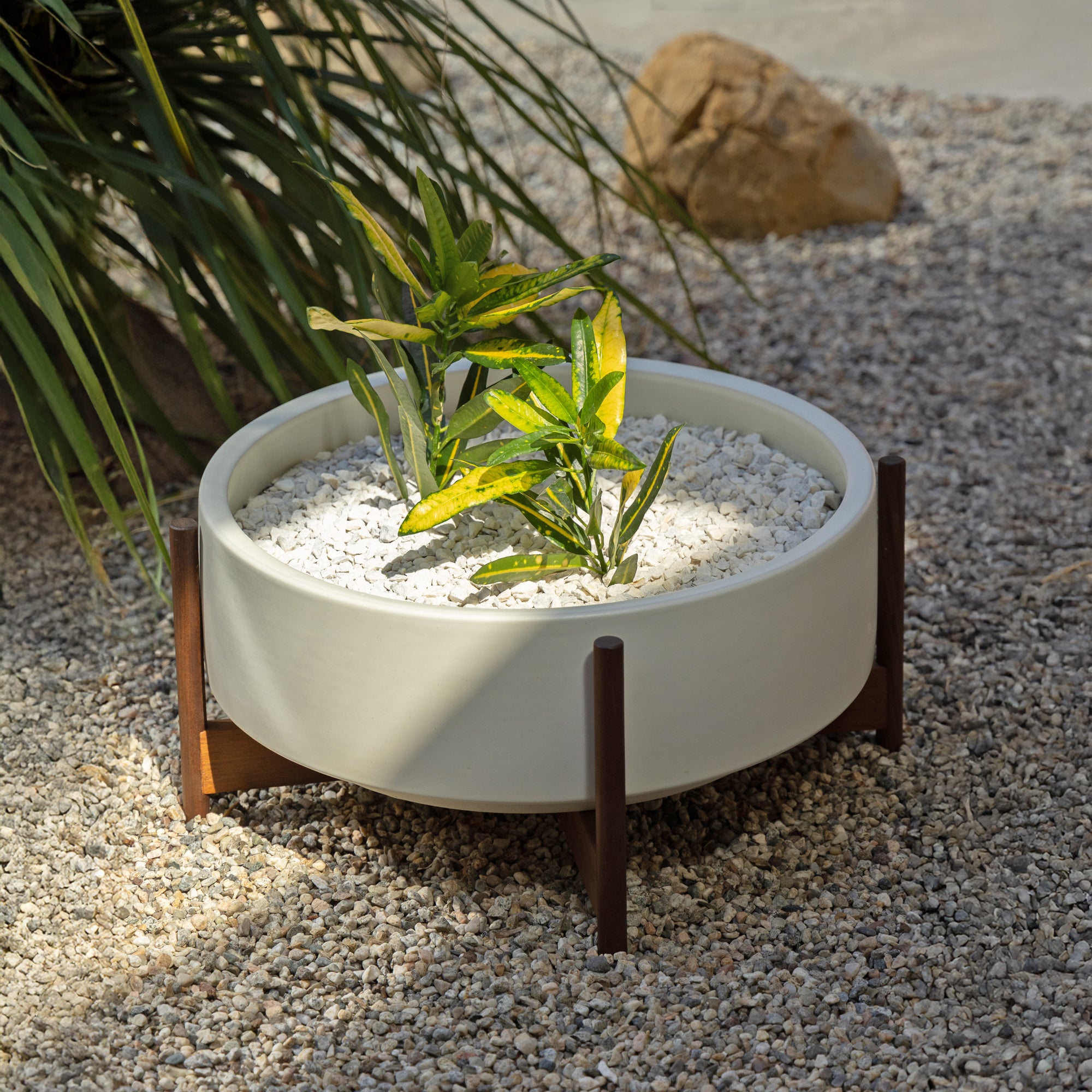 Case Study® Low Pan Planter