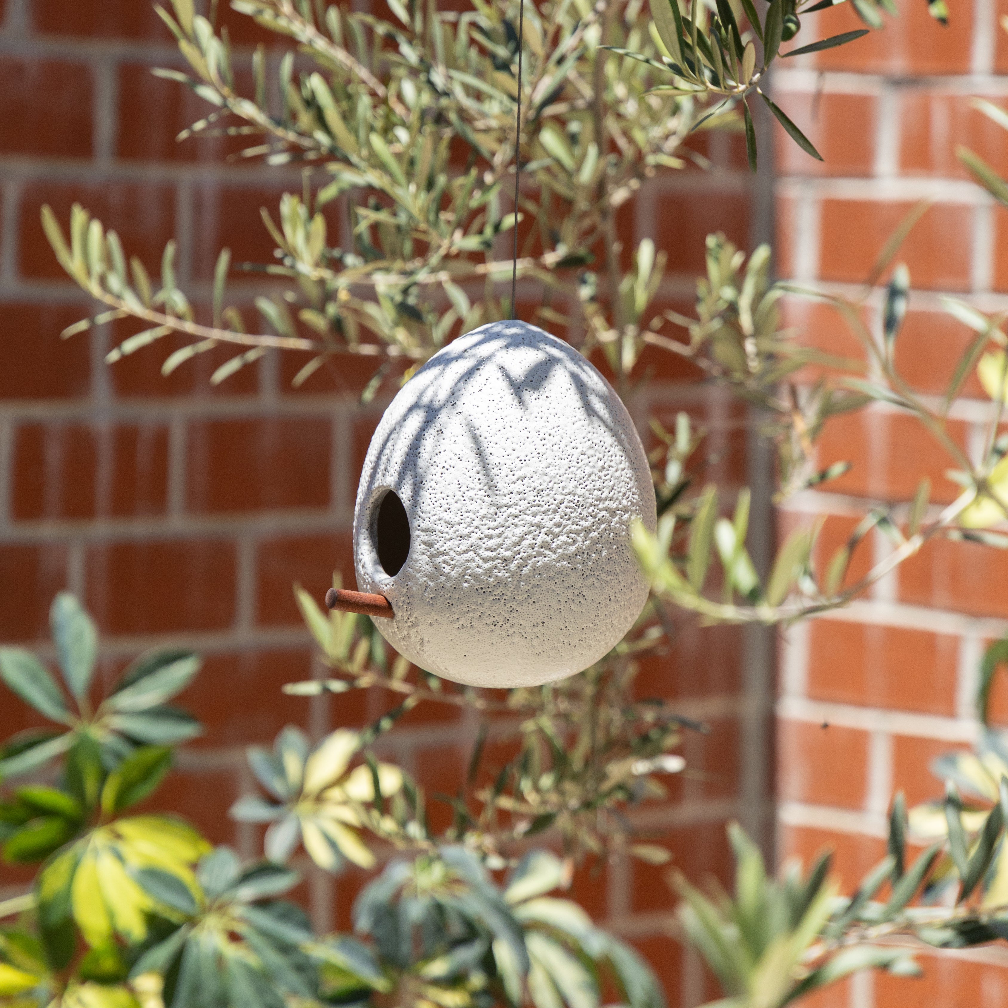 Case Study® Birdhouse