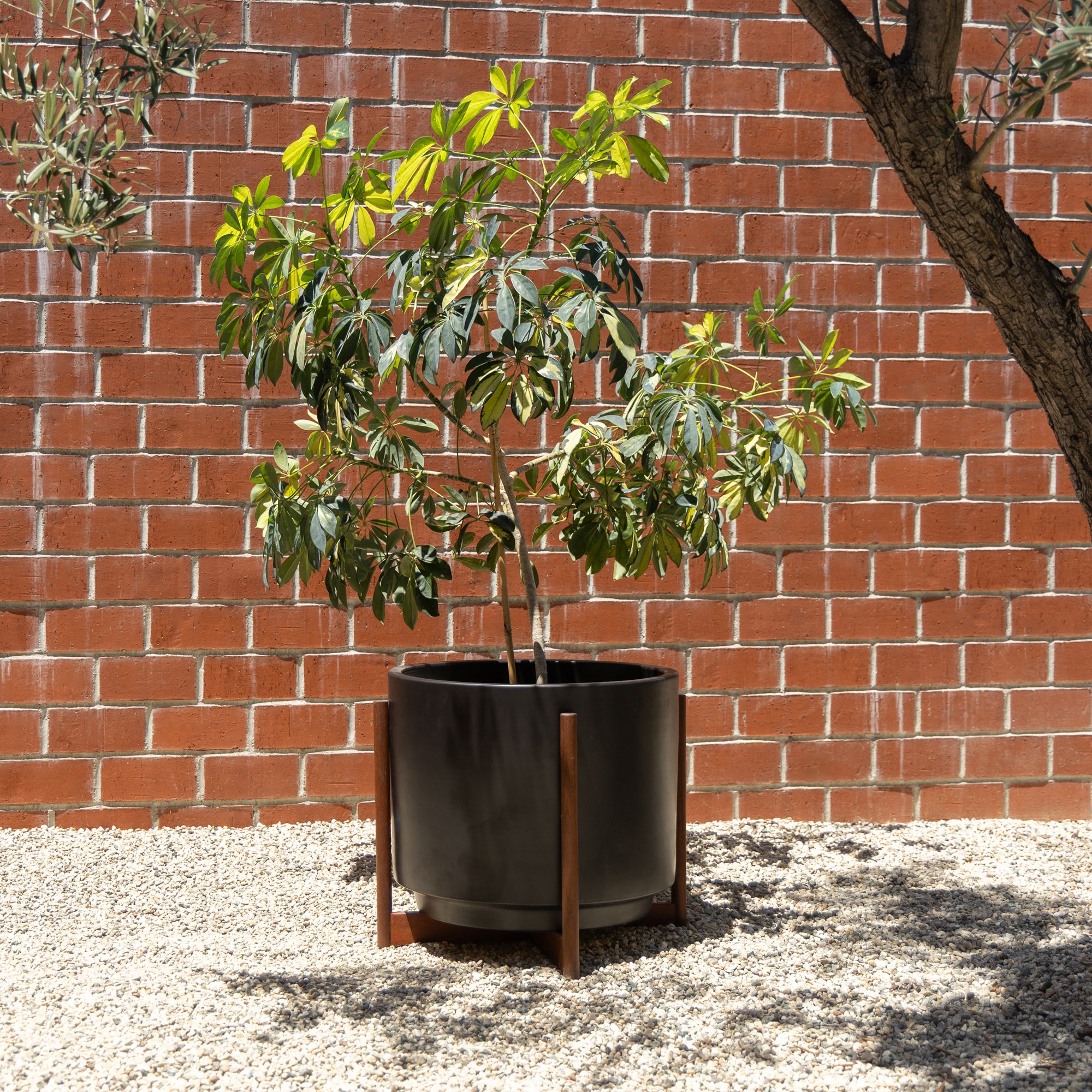 Case Study® High Pan Planter