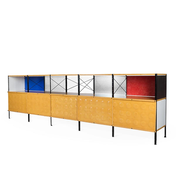 Case Study® Custom Storage Unit 250