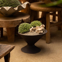 Case Study® Oblique Planter