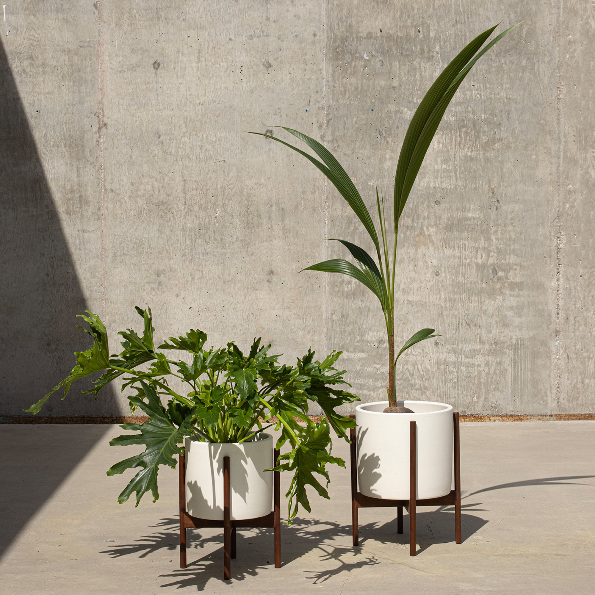 Case Study® Cylinder Planter Bundle Small & Large