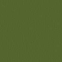 TIII: ノールディーバウォールフラワー