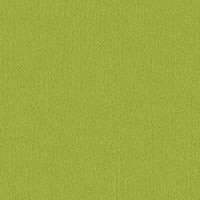 TIII: ノールディーバウォールフラワー