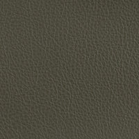 ノーガハイド アメリカンビューティー見本