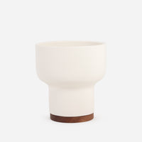 Case Study® Mushroom Planter