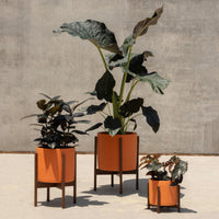 Ceramic Orange Wood Stand