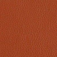 Vinyl Classic Persimmon Swatch