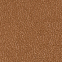 Vinyl Classic Rodeo Swatch