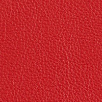 ノーガハイド アメリカンビューティー見本