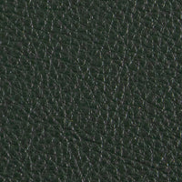 Vinyl Classic Spruce Swatch