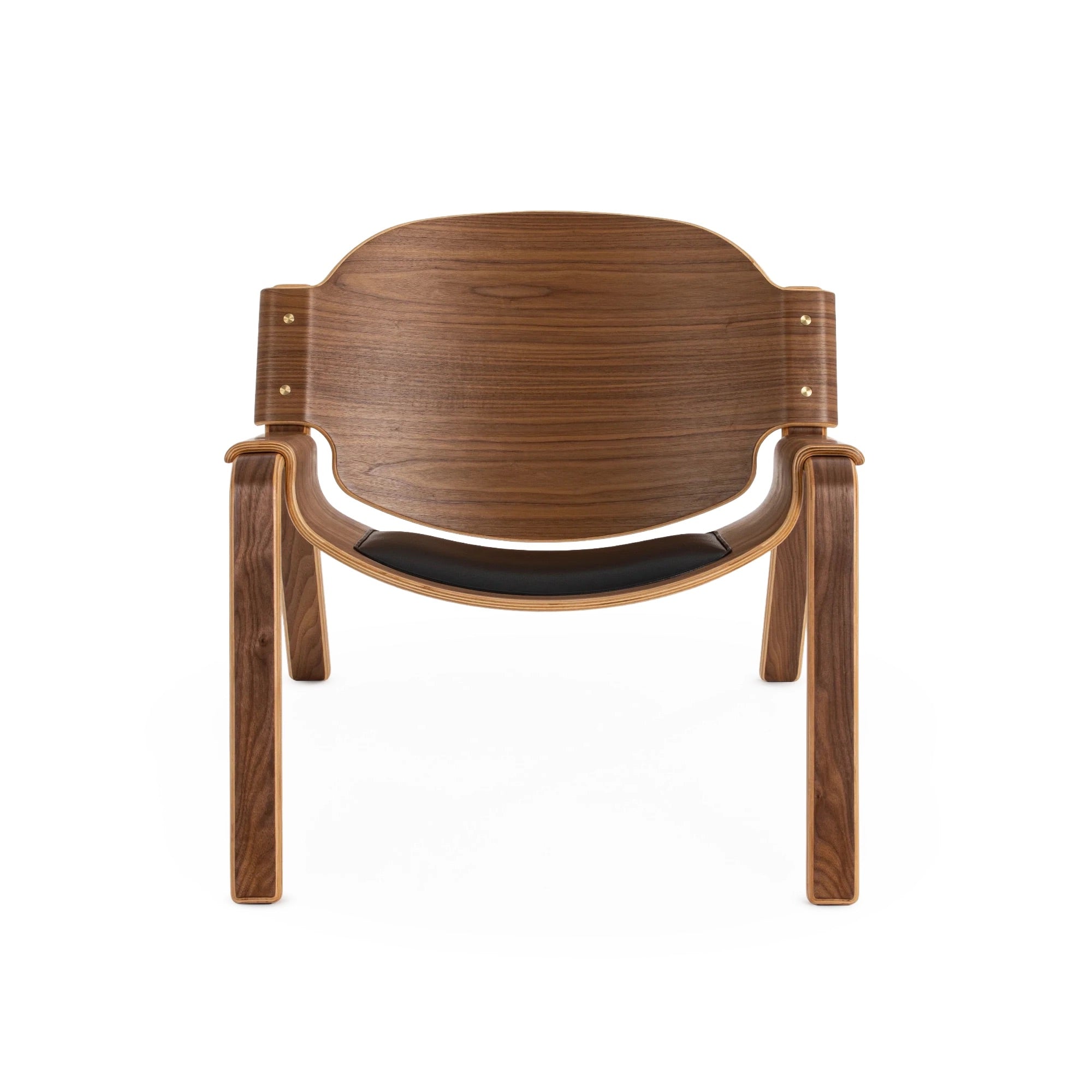 Modernica