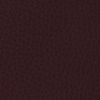 Leather Eggplant Swatch