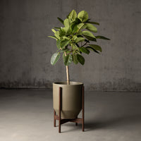 Ceramic Pebble Wood Stand