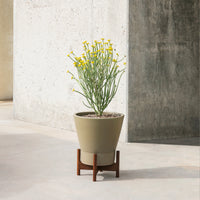 Case Study® Small Jewel Planter