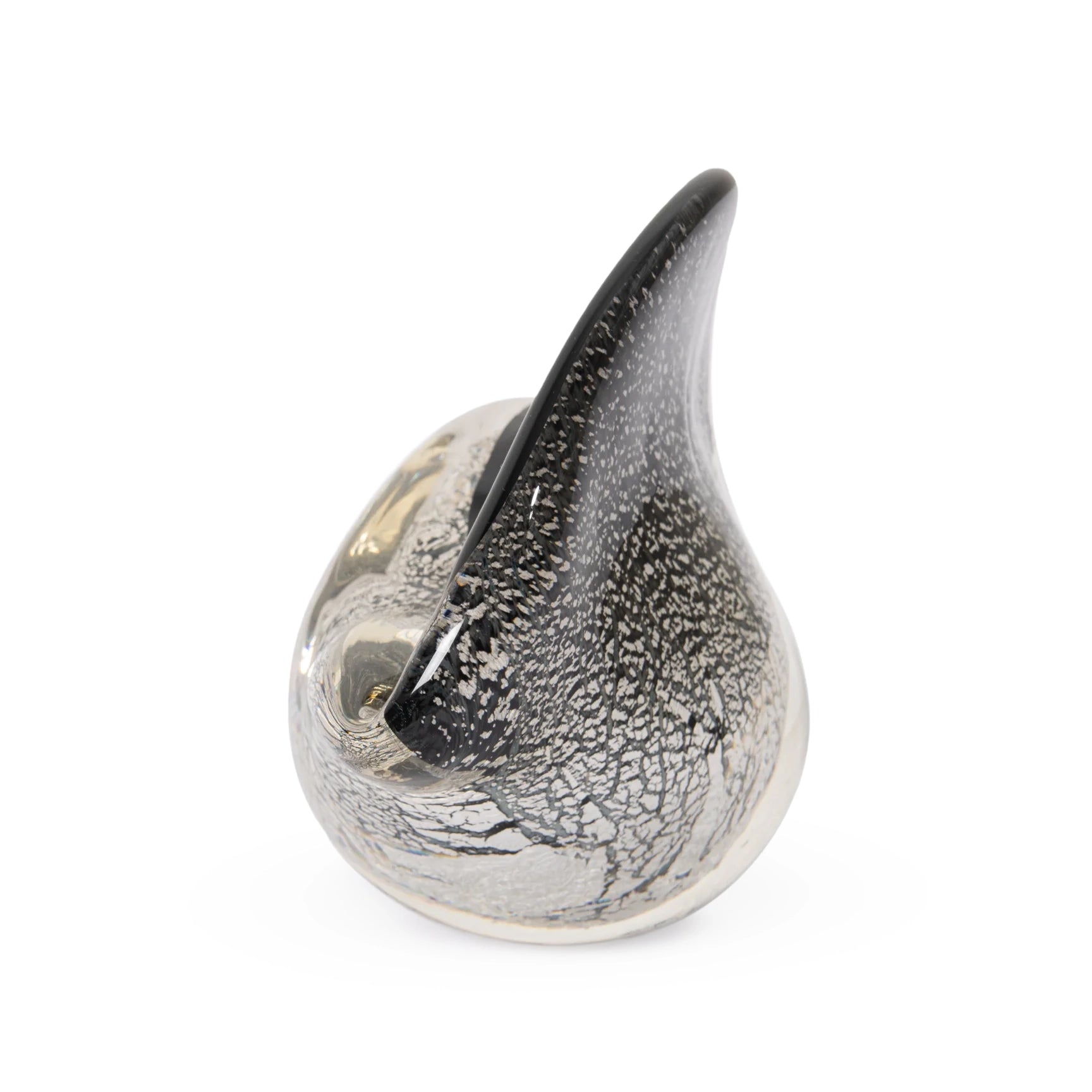 Seguso Conch Shell Sculpture