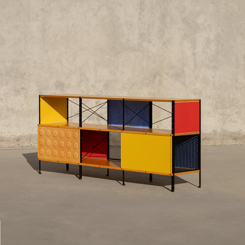 case-study®-custom-storage-unit-230