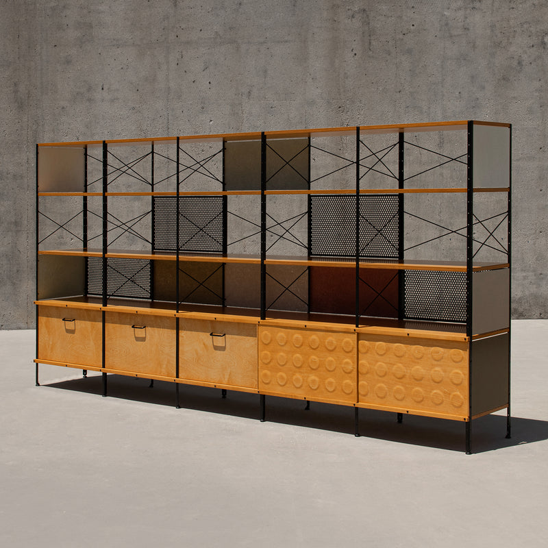 case-study®-custom-storage-unit-450