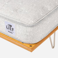Case Study® V-Leg Bed with Cane Headboard & Lief® Mattress Bundle