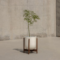 Ceramic White Wood Stand