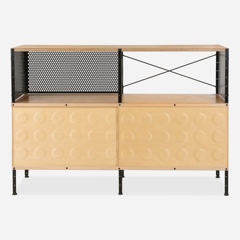 case-study®-custom-storage-unit-220