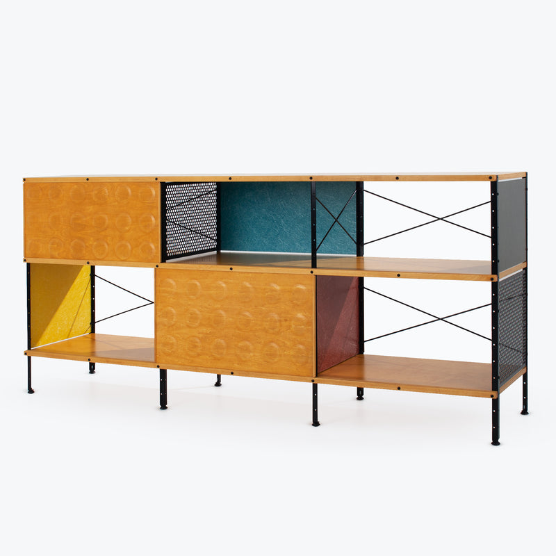 case-study®-custom-storage-unit-230