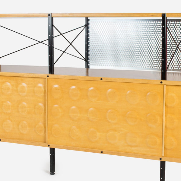 Case Study® Custom Storage Unit 250