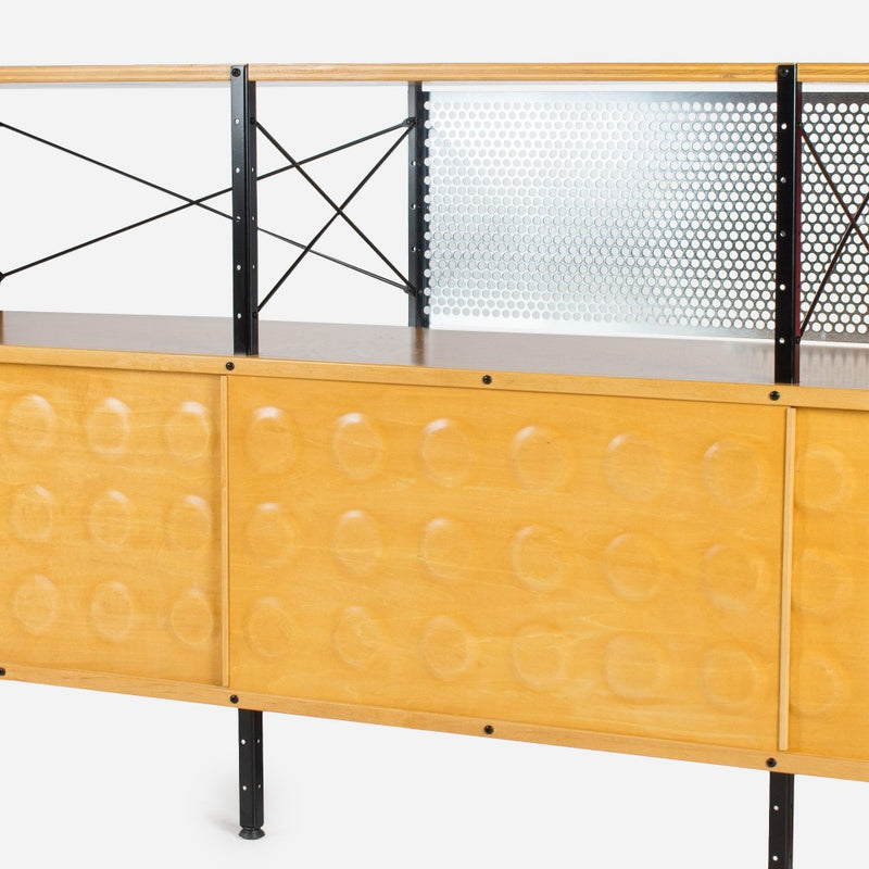 case-study®-custom-storage-unit-250