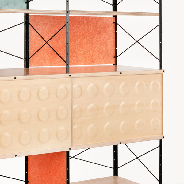 Case Study® Custom Storage Unit 520