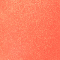 グラスファイバー製サンゴ見本