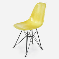 Black Base Meyer Lemon