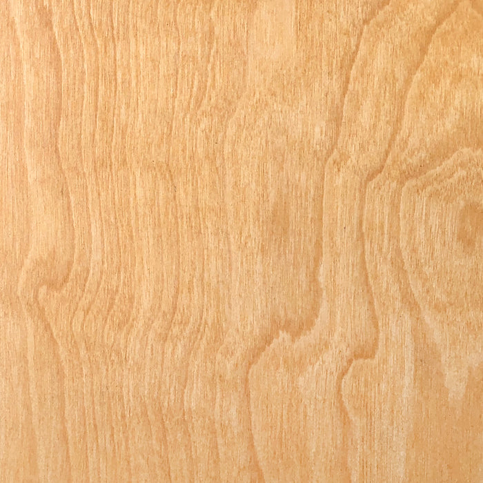 Custom Dimple Door