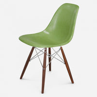 Walnut - Chrome Wire Apple