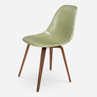 Walnut/Walnut Celery