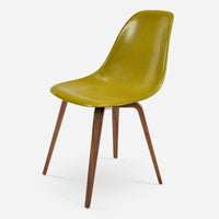 Walnut/Walnut Pickle